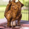 CanCooker Inc. Foldable Chicken Rack
