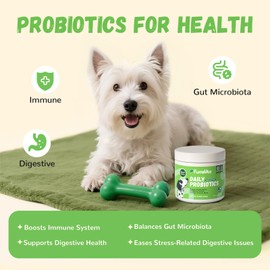 Furrolika Probiotics for Dogs – Digestive Probiotics for Gut Health, Immune Support & Diarrhea Relief – Beef Flavor – 60 Soft Chews