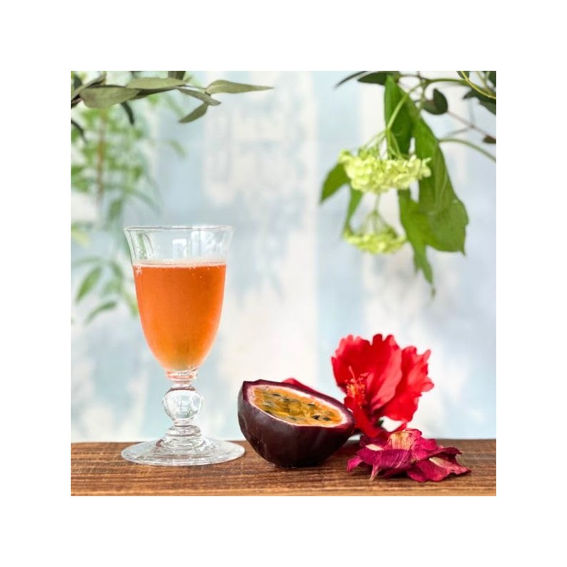 Karel Chapek Wonder Beauty Cold Brew Summer Rooibos Passion Fruit