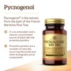 Solgar Pycnogenol 100mg - Derived from Pine Bark - Works