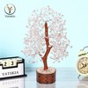 YATSKIA Clear Quartz Crystal - Tree of Life Chakra, Stone