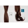 Alfaparf Milano Pigments Color Ash