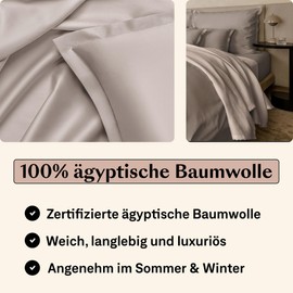 Amqua Egyptian Cotton Cushion Cover 40 x 80 cm Set of 2 Mako Satin Soft Like Silk in Beige/Taupe