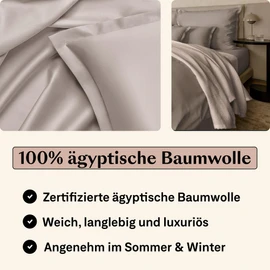 Amqua Egyptian Cotton Cushion Cover 40 x 80 cm Set of 2 Mako Satin Soft Like Silk in Beige/Taupe