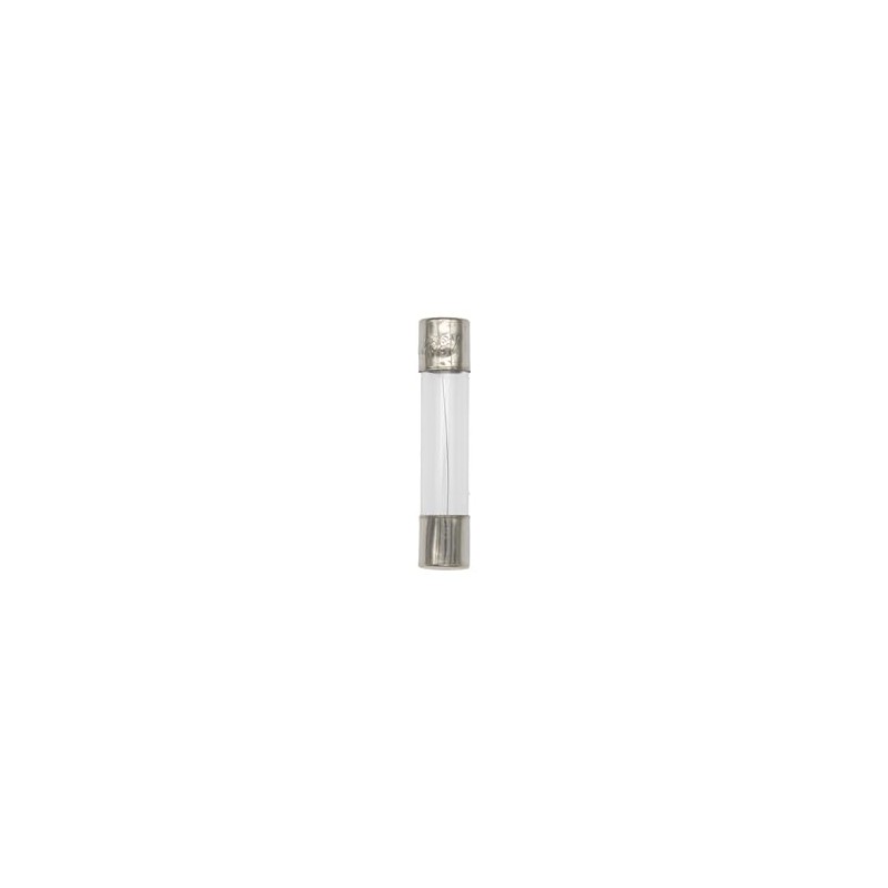 6X30mm Glass Fast-Blow Fuse Tube 0.25A 250V - 30-Pack Electrical