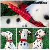 Tuff Pupper Heavy Duty Dog Collar with Handle | Ballistic