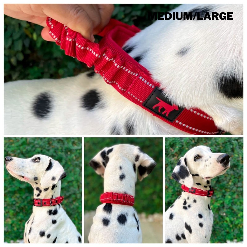 Tuff Pupper Heavy Duty Dog Collar with Handle | Ballistic