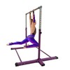 XDance Expandable Gymnastics Bar Kip Bar Tumble Bar for Kids,