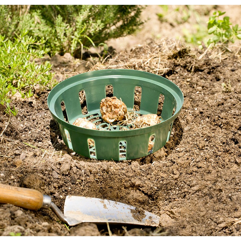 Windhager Bulb Trays