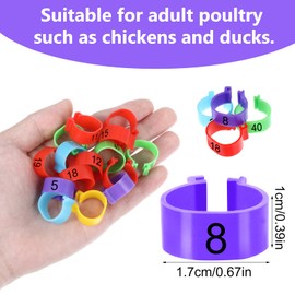 Wanmu 50Pcs Chicken Leg Bands, Numbered Clip on Leg Rings, Multiple Colour Chicken Identification Leg Bands, Foot Round Tag Clips for Duck Chick Goose Gamefowl Turkey(16mm)