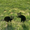 Lin's Wood Pack of 2 Garden Decoration Rust Raccoon, Garden