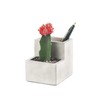 Kikkerland Concrete Planter and Desktop Stationery Organiser (Small)
