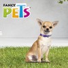 Fancy Pets Collar Galería Aqua Pop Tamaño Extra Chico para