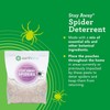 Spiders Deterrent Pouches - Indoor Spider Deterrent for Attic, Crawl
