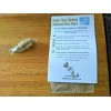 Milkweed Floss Flyers /Milkweed Seed Separator Kit/Better Than Bubbles! 2021crop