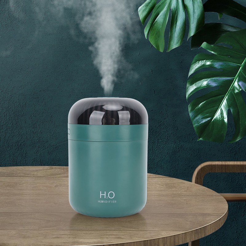 Mini Humidifier with Colorful Light 500ml USB Powered Low Noise