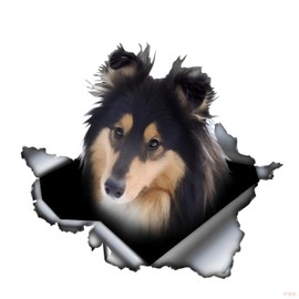Car Sticker 25 cm (9.8 Inch) Brown Collie Rough 3D Ripped Sticker Funny Collie Rough Reflective Car Sticker Funny Bumper Car Window Waterproof Decor