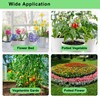 Drip Irrigation System Kit – 2025 New Quick-Connect Automatic Watering