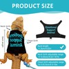 Bearded Dragon Lizards Clothes with Leash Set - Cute Lizard