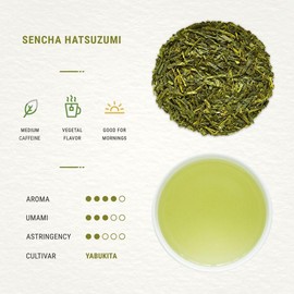 Senbird Premium Sencha - Japanese Green Tea - From Shizuoka, Japan - Loose Leaf Tea In Airtight Tea Tin (3.5oz/100g)