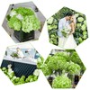 Coferset 5pcs Hydrangea Artificial Flowers Real Touch 20 inch Lifelike