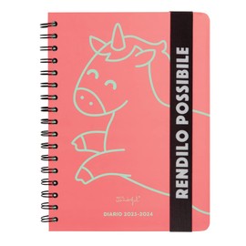 Mr.Wonderful - Teen School Diary 2023-2024 Weekly Pink - Make It Possible
