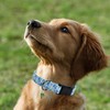 Flower Patterns Dog Collar with Accessories, Soft Cotton Dog Collars