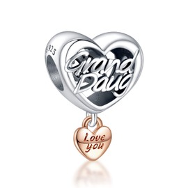 Annmors Jewellery Family Love Charms and Hearts Pendant S925 Sterling Silver Bracelet Bead with Cubic Zirconioa for European Bracelets Necklace, Mother's Day Jewellery Gift Christmas for Men and Women, Sterling Silver