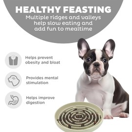 Slow Feeder Dog Bowls, Interactive Silicone Dog Feeding Bowls for Dogs & Cats, Slow Feeder Non-Slip with Suction Cups, Anti-Choking, Non BPA, Reduces Boredom, Anxiety, Dishwasher Microwave Safe