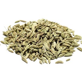 Fennel Seeds | For Cooking & Kitchen | Perfect for both sweet and savoury dishes |Speedrange (100g)