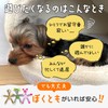 FOily TOily Dog Toy, Chewing Toy, Durable, Stuffed Animal for