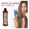Árbol Verde Tratamiento Shampoo Anticaída Árbol Verde 4pzs Romero Sábila