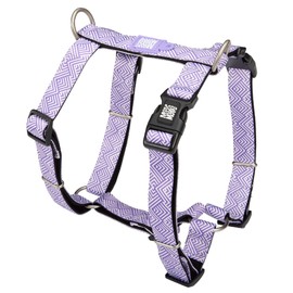Max & Molly H Comfort Fit Dog Harness – Soft Neoprene Padding, Easy Step-in Design, Durable Metal Parts, Dual D-Rings for Enhanced Control – Perfect for Secure, Comfortable Walks