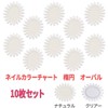 Set of 10 Nail Color Chart (Oval, Clear)