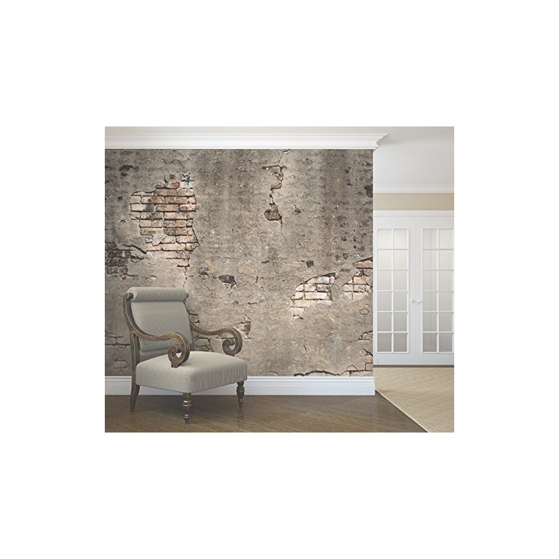 Wall Rogues WR50520 Broken Concrete Wall Mural