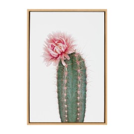 Kate and Laurel Sylvie Pink Cactus Flower Framed Canvas Wall Art by Amy Peterson Art Studio, 23x33 Natural, Desert Cactus Floral Photo Art for Wall