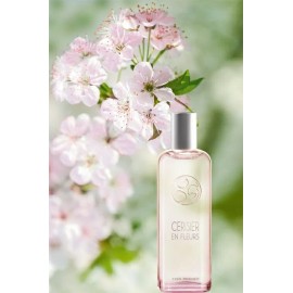 YVES ROCHER Cerisier en Fleurs Cherry Bloom Eau de Toilette 100 ml DISCONTINUED!