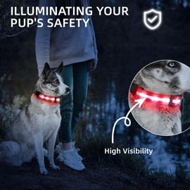 PetIsay Light up Dog Collar - High Visibility & Durable Nylon Material - USB C Rechargeable & Waterproof LED Dog Collar for Night Walking,Lighted Dog Collar Glow in The Dark Flashing(Red,Large)