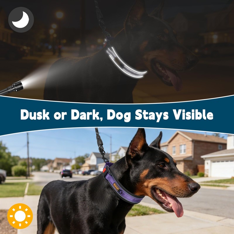 No Pull Martingale Collar for Medium Large Dogs Precision Fit