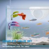 3-in-1 Floating Betta Hammock Cave & Betta Leaf Pad with