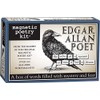 Magnetic Poetry - Edgar Allan Poet Kit - Words for