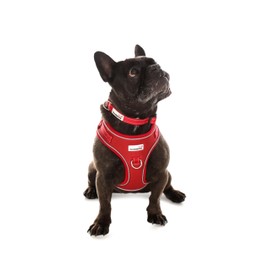 Doodlebone Adjustable Airmesh, Ruby, 2-3