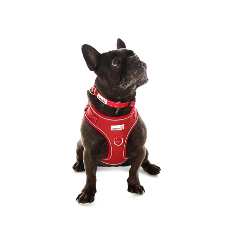 Doodlebone Adjustable Airmesh, Ruby, 2-3