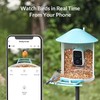 Birdfy Feeder with Solar Panel - Solar Powered Bird Feeder