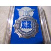 United States Air Force SECURITY FORCES Challenge coin (BAR)