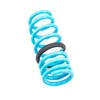 Godspeed LS-TS-NN-0002-B Traction-S Performance Lowering Springs, Reduce Body Roll, Improved