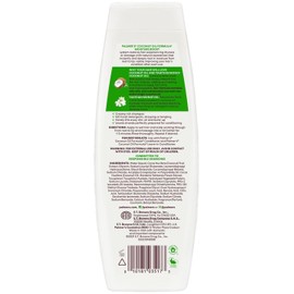 Coconut Oil Shampoo, 400ml moisture boost, Free Of Sulfates, Parabens, Phthalates, Mineral Oil & Gluten - 400Ml,