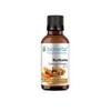 Kurkuma Tropfen Hochdosiert 50 ml Curcuma longa L, Turmeric Tinktur