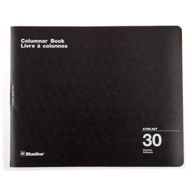 Blueline Columnar Book, Twin-Wire Binding, 30 Columns with Description, 80 Pages, 12-Inch x 14-15/16-Inch, Black (A769.30T)