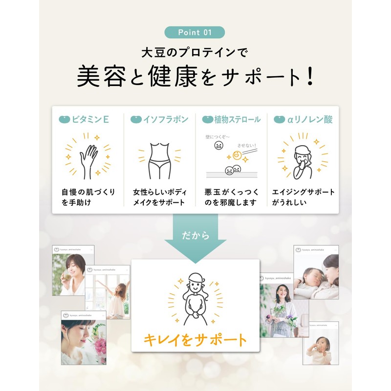 九州アミノシェイク ソフトプロテイン 300g 植物性原料100% 九州産 モリンガ きな粉 ソイプロテイン プロテイン (抹茶きなこ味